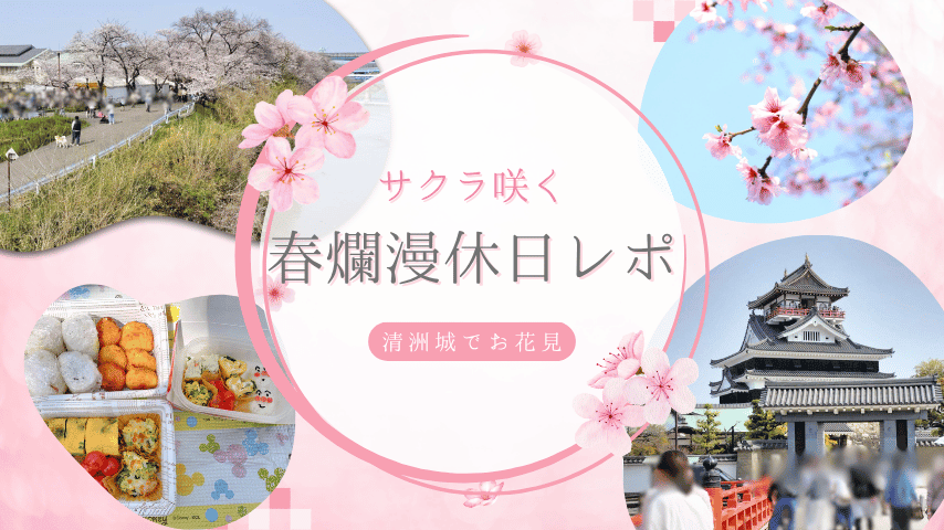 【清洲城でお花見】手作り弁当と屋台グルメ！