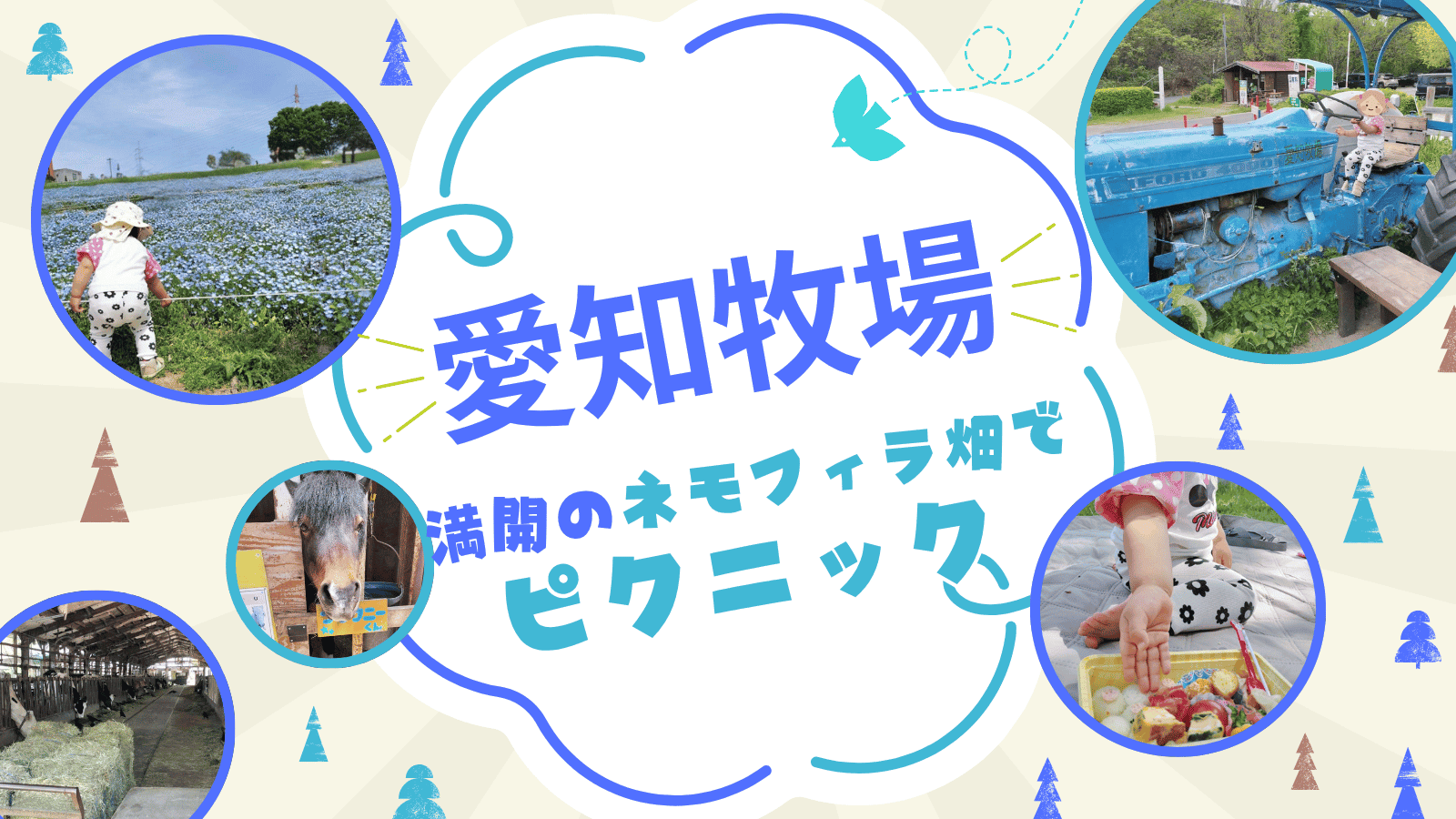 ネモフィラ満開！愛知牧場