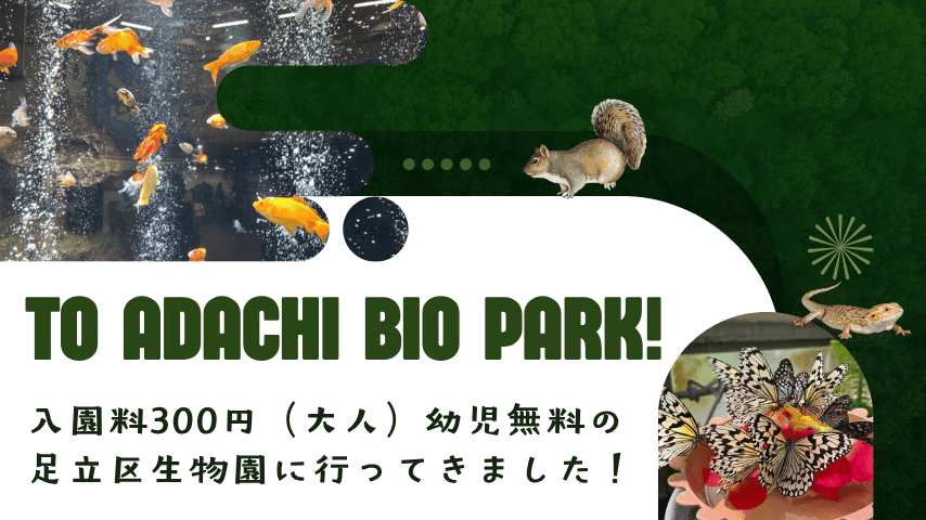 大人300円の楽園！？足立区生物園で、蝶に囲まれ大パニックの休日。